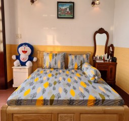 BỘ CHĂN DRAP COTTON CAO CẤP 5 MÓN 1M6X2M HQ760