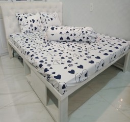 BỘ DRAP ÁO GỐI COTTON POLLY PL 37