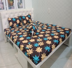 BỘ DRAP ÁO GỐI COTTON POLLY PL36