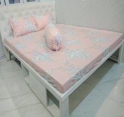 BỘ DRAP ÁO GỐI COTTON POLLY PL39