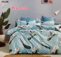 BỘ DRAP COTTON 100% HQ340