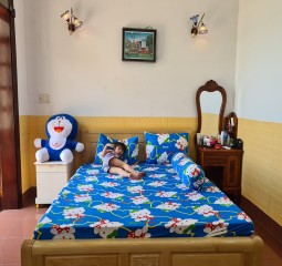 BỘ  DRAP COTTON CAO CẤP 4 MÓN 1M6X2M HQ739