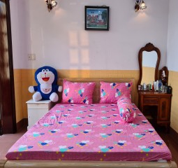 BỘ  DRAP COTTON CAO CẤP 4 MÓN 1M6X2M HQ748