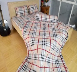 BỘ DRAP THUN HÀN QUỐC 1M6 TH179
