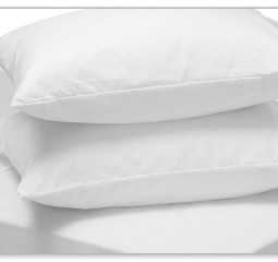 COMBO 2 RUỘT GỐI HƠI 0x70