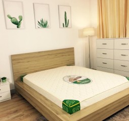 NỆM CAO SU NHÂN TẠO LU1M6-10F