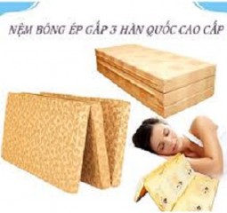 NỆM GE LONG VIỆT 004(120x200x3)