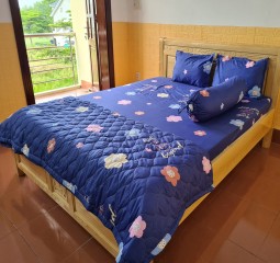 SALE – BỘ DRAP COTTON POLY CAO CẤP 4 MÓN 1M6X2M PL146